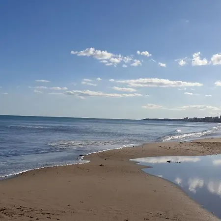 Alicante Sunbeach